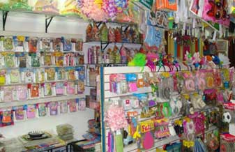 Larissa Festa - Foto 1