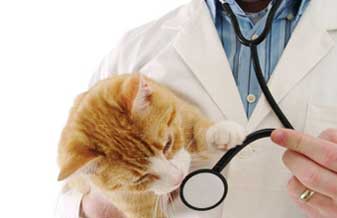 Consultorio Veterinario Dr. Pierre - Foto 1