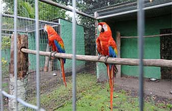 Maria Elisabete Carneiro - Foto 1
