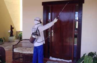 Sanidade Controle de Pragas - Foto 1