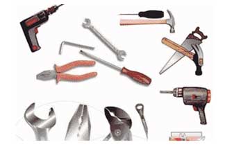 Aparecida F Silva - Foto 1