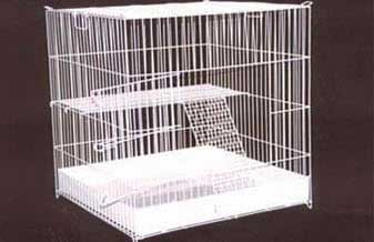 Amigo Animal Pet Shop - Foto 1