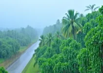 chuva em Pernambuco