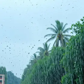 alerta de chuva
