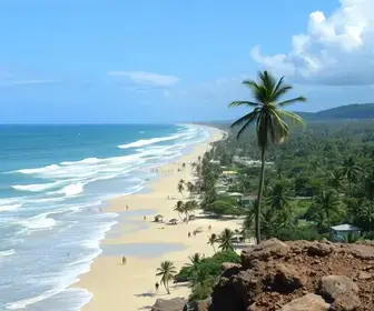 apuração em Camaragibe